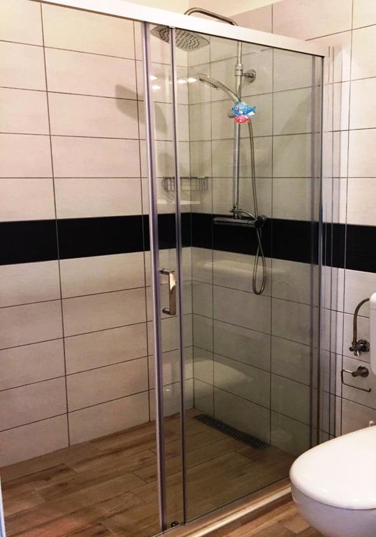 Goga Mare Apartment 로비니 외부 사진