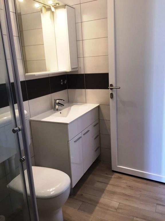 Goga Mare Apartment 로비니 외부 사진