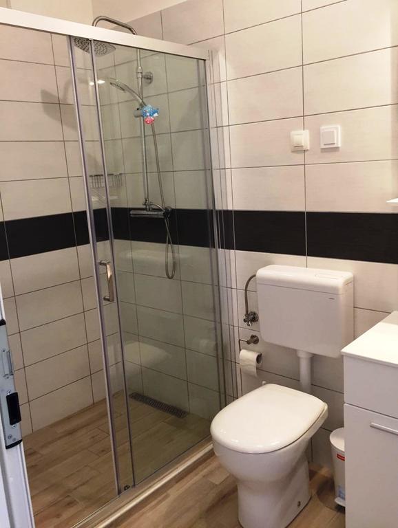 Goga Mare Apartment 로비니 외부 사진